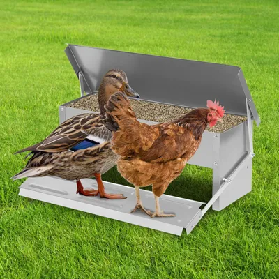 Image de Jayseuw Distributeur automatique de nourriture 5KG Poules avec marchepied et couvercle Distributeur automatique de nourriture pour volailles Argent