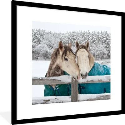 Produktbild von MuchoWow® Gerahmtes Poster Pferde - Decke - Schnee 40x40 cm - Poster mit Schwarzem Bilderrahmen Wandposter Rahmen Foto Bilder - Poster - Plakat im Rahmen