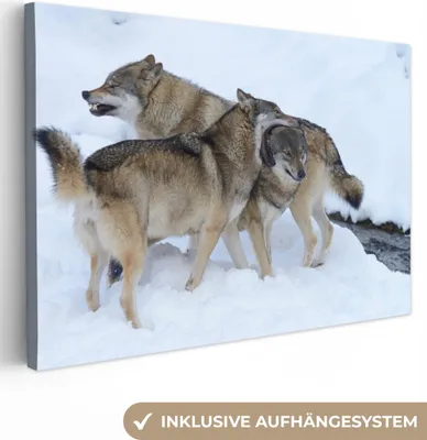 Produktbild von OneMillionCanvasses® - Leinwandbilder - 140x90 cm, Wolf - Europa - Schnee, Wandbilder Kunstdruck Wanddekoration