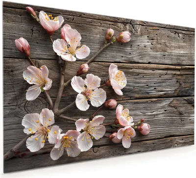 Produktbild von Küchenrückwand Spritzschutz Glas mit Motiv Kirschblüten Holz 40 x 40 cm
