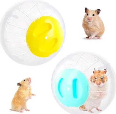 Produktbild von Kleine Hamsterkugel 145cm durchsichtig blau/gelb Spielzeug
