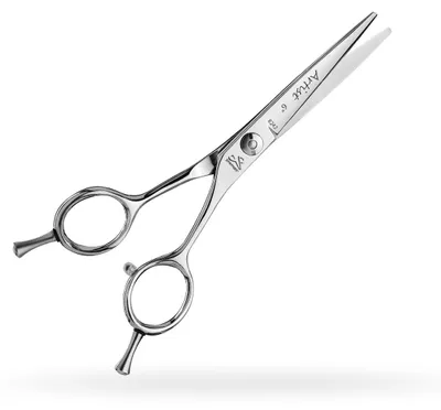 Image de Ciseaux de coiffure PREMAX - Gamme Artist 15882 en acier inoxydable 6