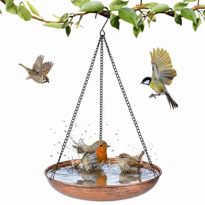Productafbeelding van Hangend Vogelbad van Metaal voor Tuin