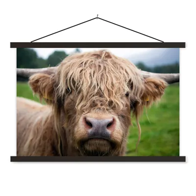 Produktbild von MuchoWow® Textilposter Schottische Highlander - Gras - Wald 150x100 cm mit schwarzem Rahmen - Schlafzimmer