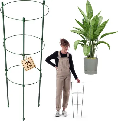Zdjęcie produktu dla Metalowa podpórka do roślin KADAX, 75 cm