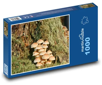 Produktbild von Puzzle 1000 Waldpilzkönigreich - martinpuzzle