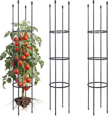 Zdjęcie produktu dla 2 stalowe stojaki ogrodowe o długości 160 cm oraz 30 zacisków do roślin