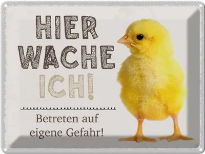 Produktbild von vianmo Blechschild 30x40 cm Küken hier wache ich eigene Gefahr Spruch Zitat