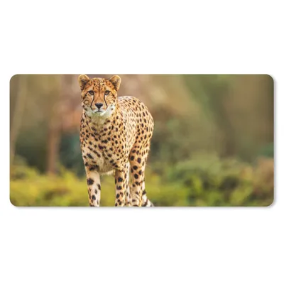 Produktbild von MuchoWow® Schreibtischunterlage Wildtiere - Gras - Leopard - Natur 80x40 cm - XXL Mauspad - Gaming Mauspad