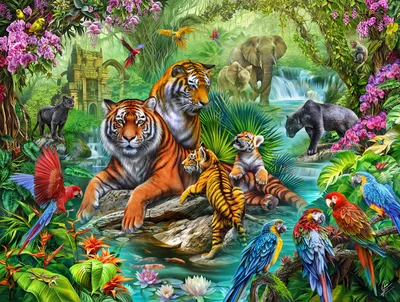Obrázek produktu pro SunsOut Puzzle Tygří džungle - 500 dílků puzzle