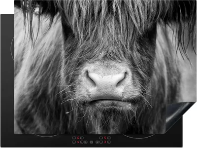 Produktbild von KitchenYeah© Herdabdeckplatte Schottischer Highlander - Kuh - Schwarz - Weiß - Tiere , 71x52cm, Küche Deko, Glaskeramikkochfeld Herdabdeckung, Abdeckplatte fùr Kochfeld