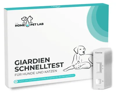 Produktbild von HomePetLab Giardien Schnelltest für Hunde, Katzen & Kleintiere 10er Packung