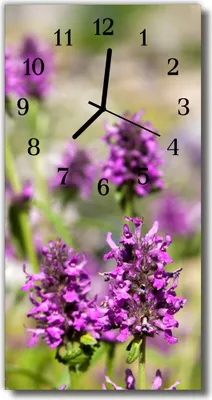 Immagine prodotto di Orologio da parete Tulup in vetro, per cucina, vetro vero, 30x60 cm, motivi floreali, multicolore