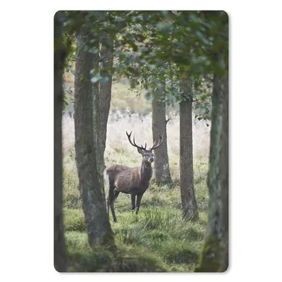 Produktbild von MuchoWow® Mauspad Mousepad Hirsche - Bäume - Gras 18x27 cm - Mousepads - Maus Mat - Pad - Mausunterlage