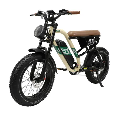 Image de Vélo électrique fatbike W66 pour adultes, couple de 65 Nm, batterie 48V 13,5Ah, pneus larges tout-terrain, compatible avec une application, couleur : beige-jaune, freins à disque hydrauliques