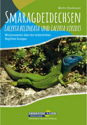 Immagine prodotto di Smaragdeidechsen Lacerta bilineata und Lacerta viridis