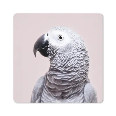 Produktbild von MuchoWow® Mauspad Mousepad Papagei - Grau - Tiere - Natur 30x30 cm - Mousepads - Maus Mat - Pad - Mausunterlage - Gaming