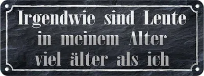 Produktbild von vianmo Blechschild 10x27 cm Leute in meinem Alter viel Spruch Zitat