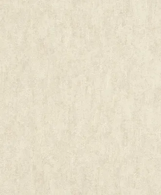Produktbild von Rasch Andy Wand | 458039 | Vliestapeten Einfarbig | 53cm x 1005cm | Beige