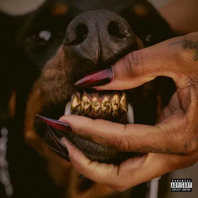 Produktbild von Leon Thomas (R&B): Mutt Deluxe: Heel (Translucent Ruby Vinyl)
