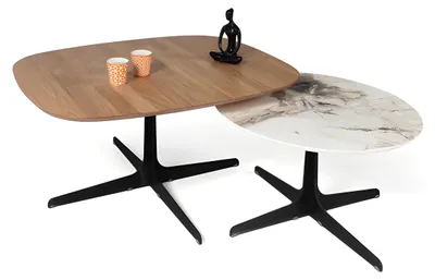 Image de Table basse Table de salon Table d'appoint Élégante Moderne