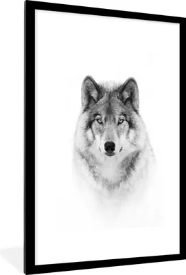 Produktbild von MuchoWow® Gerahmtes Poster Wolf - Tiere - Porträt - Weiß 60x90 cm - Poster mit Schwarzem Bilderrahmen Wandposter Rahmen Foto Bilder - Dekoration - Wandposter Wohnzimmer - Hochwertig