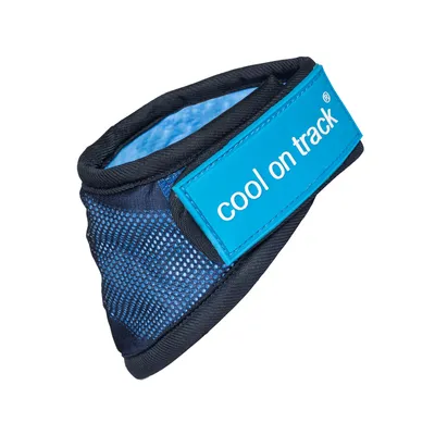 Produktbild von Cool on Track Cooling Bandana, Farbe:Blau, Größe:L