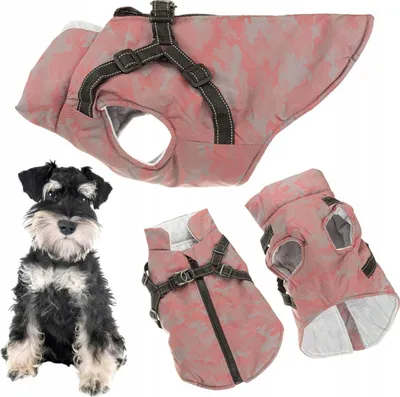 Produktbild von Hundewintermantel mit Hosenträgern 2in1 glow-in-the-dark isoliert XXL
