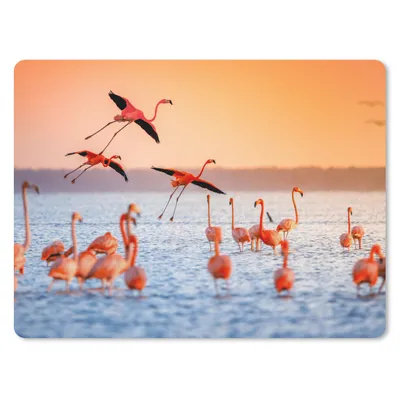 Produktbild von MuchoWow® Mauspad Mousepad Vogel - Flamingo - Wasser - Sonnenuntergang - Rosa 23x19 cm - Mousepads - Maus Mat - Pad - Mausunterlage - Schreibtischunterlage - Mauspad