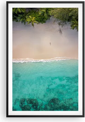 Produktbild von Gerahmtes Poster - Schwarzer Rahmen - Strand Tropen Rand - 61x91,5 cm - Wand Bild - Wanddeko - Wandbilder - Kunstposter - Wandposter - Bilderrahmen - Bilder - Kunstdruck - P2BPA61x91-5000