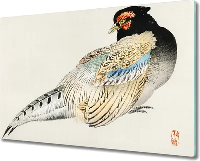Produktbild von Coloray Schneidebrett Herdabdeckplatte 80x52 cm Kochplattenabdeckung Küchenbrett Hackbrett - Tier Vogel