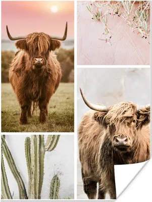 Produktbild von MuchoWow® Poster Schottischer Highlander - Tiere - Pastell 30x40 cm - Wandplakat - Poster Kinderzimmer