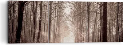 Produktbild von Bild auf Leinwand - Leinwandbild - Wald Straße Baum - 90x30cm - Wand Bild - Wanddeko - Wandbilder - Leinwanddruck - Bilder - Kunstdruck - Wanddekoration - Leinwand bilder - Wandkunst - CA90x30-3620