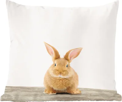 Produktbild von MuchoWow® Zierkissen Sofakissen Wohnzimmer Dekokissen 45x45 cm Kaninchen - Babykaninchen - Tiere - Kinder - Mädchen - Jungen - Schlafpolster - Polster für das Sofa