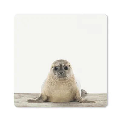 Produktbild von MuchoWow® Mauspad Mousepad Robbe - Tiere - Kinder - Jungen - Mädchen - Kinder 30x30 cm - Mousepads - Maus Mat - Pad - Mausunterlage - Gaming