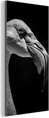 Obrázek produktu pro Nástěnná dekorace Kovový kovový obraz Wall Art 20x40cm Zvířecí portrét plameňáka v černé a bílé barvě Muchowow Hliníkové obrazy
