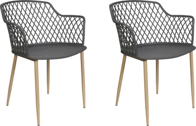 Image de Fauteuil Malaga Gris - Lot De 2