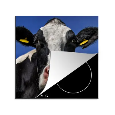 Produktbild von KitchenYeah© Herdabdeckplatte Kuh - Blau - Tiere , 78x78cm, Küche Deko, Glaskeramikkochfeld Herdabdeckung, Abdeckplatte fùr Kochfeld