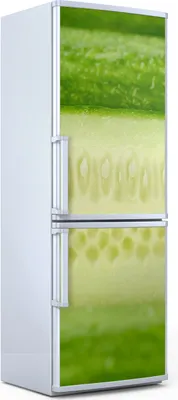 Produktbild von Magnete Dekorative - 70 cm x 190 cm - Küche - Magnetmatte Kühlschrankmagnete - Gurke Gemüse