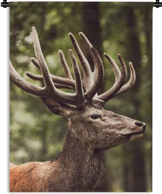Produktbild von MuchoWow® Wandteppich Wandbehang Hirsch - Natur - Geweih - Wald - Tiere 90x120 cm Tapisserie Dekoration Wandtuch - Wanddeko