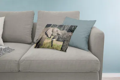 Produktbild von MuchoWow® Zierkissen Sofakissen Wohnzimmer Dekokissen 60x40 cm Elefant - Tiere - Grau - Natur - Kopfkissen - Polster mit Foto