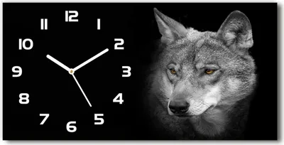 Produktbild von Wanduhr aus Glas – 60x30 cm - Glasbild - Glasuhr - Gehärtetes Glas - weisse-zeiger – Wolf
