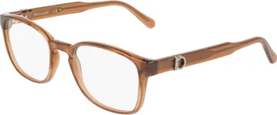 Produktbild von Ferragamo SF3027E Transparent brown 52/20/145 Herren Brillen