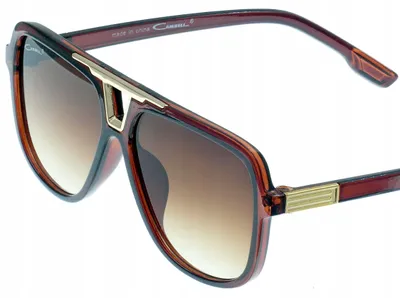 Image de Lunettes de soleil Cambell marron style nerdy avec étui