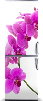 Produktbild von Tulup Kühlschrankdekoration - Magnetmatte - 60 cm x 180 cm - Magnet auf dem Kühlschrank - Rosa Orchidee