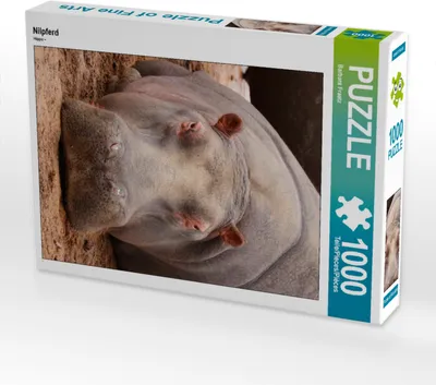 Produktbild von CALVENDO Puzzle Nilpferd | 1000 Teile Lege-Größe 64x48cm Foto-Puzzle für glückliche Stunden