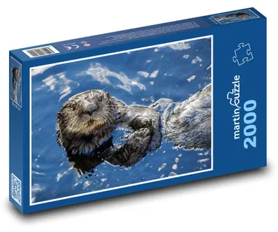 Obrázok produktu pre Puzzle 2000 Morská vydra vo vode - martinpuzzle