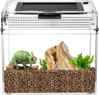 Productafbeelding van Reptielenvoederbox, 20 x 20 x 18 cm, Reptielen- en insecten vitamines, 20 x 20 x 18 cm