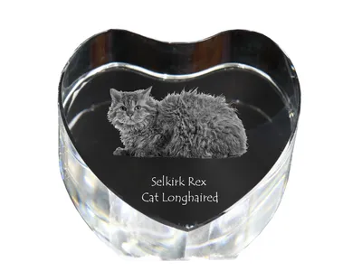 Produktbild von Selkirk Rex Katze Langhaar - Kristalluhr mit Katzenbild, Herzregal-Uhr, personalisierte Standuhr von Art-Dog.
