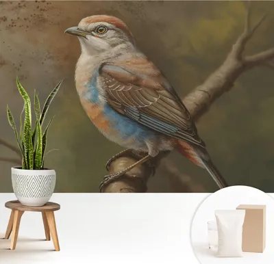 Produktbild von Fototapete selbstklebend - 208x146 cm - Tapete - Wandtapete - Wandbilder - Klebefolie - Dekofolie - Tapete Folie - Wand - Dekoration - Wohnzimmer - Vogelporträt